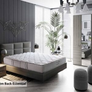 Đệm Sông Hồng cao cấp Back Essential 2 Mảnh